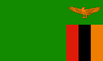 989vlcli copy