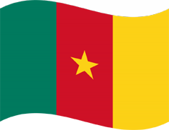 Flag_of_Cameroon_Flat_Wavy-1024x785